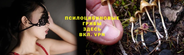 стаф Абинск