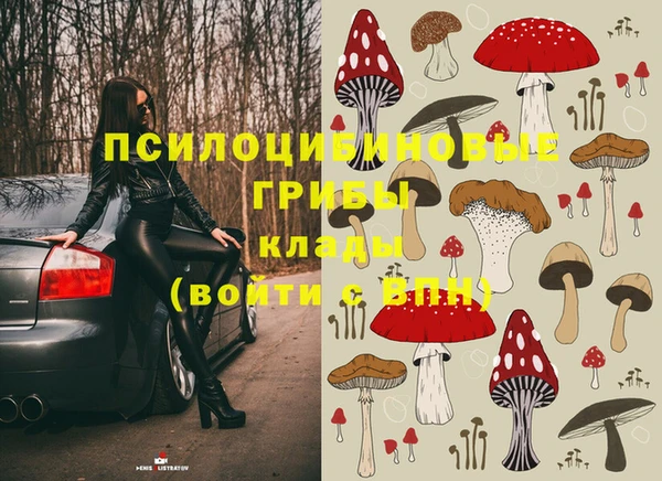 соль ск Семёнов