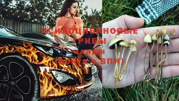 экстази Абаза